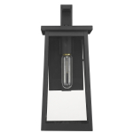 Alden 1-Light Wall Mount - Image 3