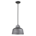 Barnes 1-Light Convertible Pendant - Image 2