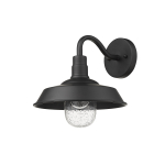 Burry 1-Light Wall Mount
