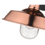 Burry 1-Light Wall Mount - Image 9