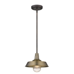 Burry 1-Light Convertible Pendant