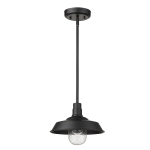 Burry 1-Light Convertible Pendant