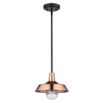 Burry 1-Light Convertible Pendant