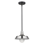 Burry 1-Light Convertible Pendant