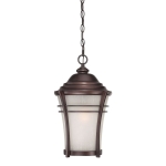 Vero 1-Light Hanging Lantern