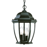 Wexford 3-Light Hanging Lantern