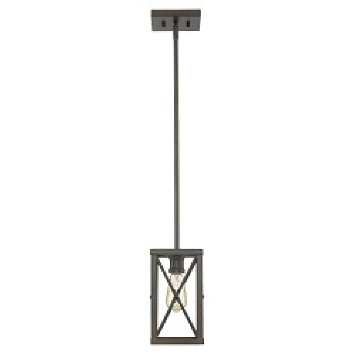 Brooklyn 1-Light Mini-Pendant Acclaim Lighting 4