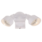 2-Light Floodlight - Motion Activated LED