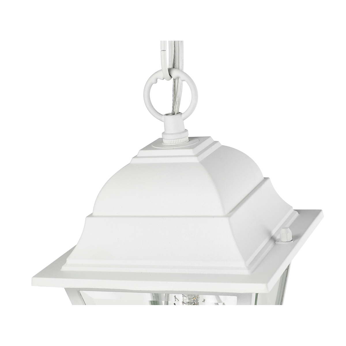 Builder's Choice 1-Light Hanging Lantern - Image 4