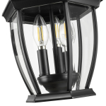 Wexford 3-Light Hanging Lantern - Image 3