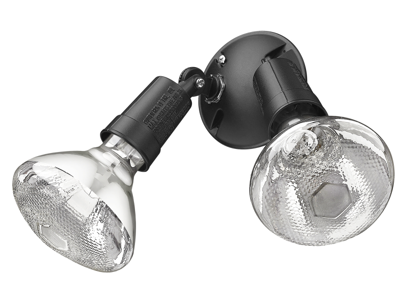 2-Light Floodlight Acclaim Lighting
