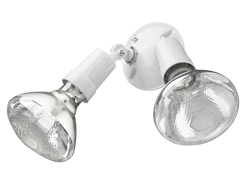 2-Light Floodlight Acclaim Lighting