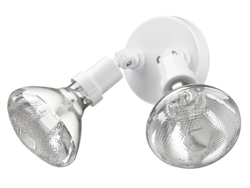 2-Light Floodlight Acclaim Lighting