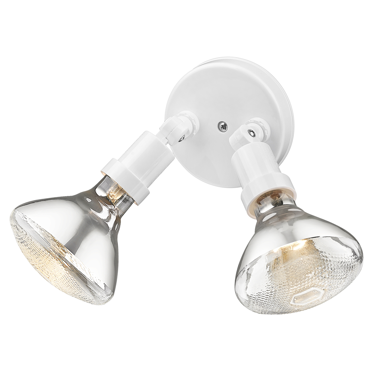 2-Light Floodlight Acclaim Lighting 6